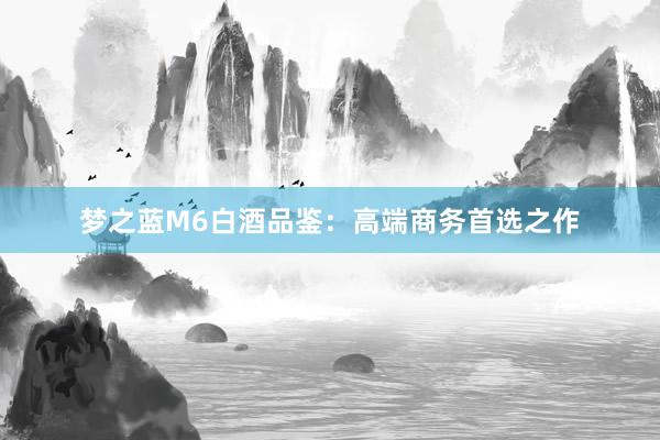 梦之蓝M6白酒品鉴：高端商务首选之作